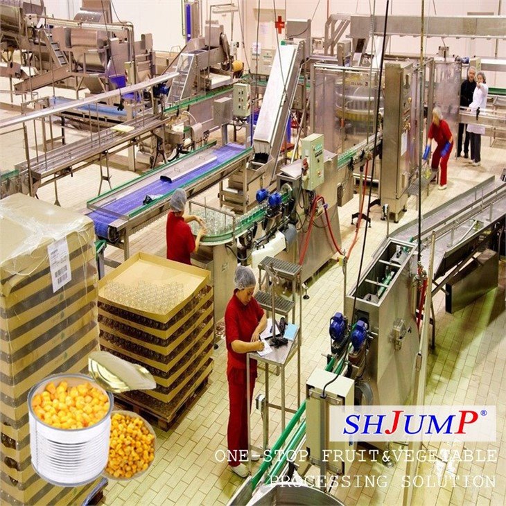 Corn Processing Line